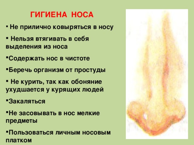 Гигиена органов чувств презентация 8 класс