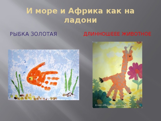 И море и Африка как на ладони Рыбка золотая Длинношеее животное 