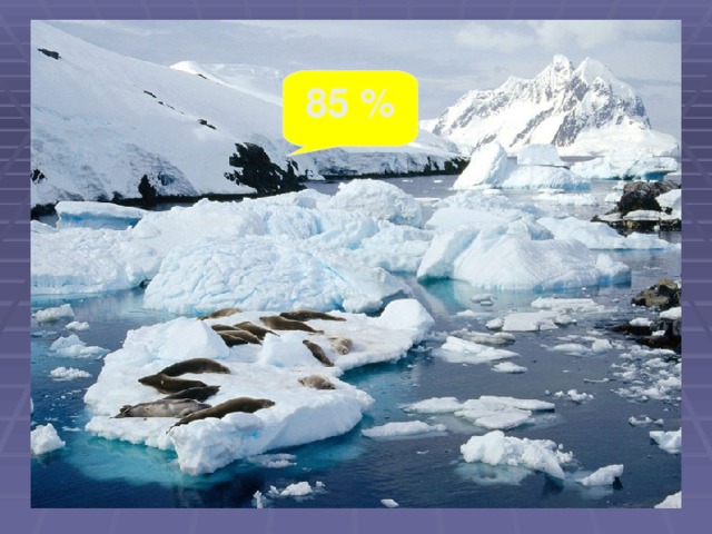 85 % 