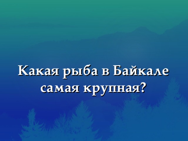 Какая рыба в Байкале самая крупная? 