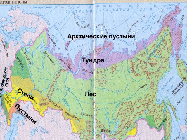 Карта с тундрой