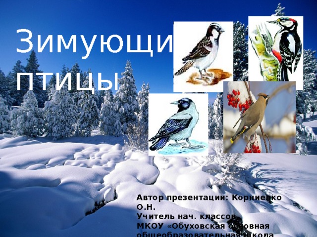 Зимующие птицы Автор презентации: Корниенко О.Н. Учитель нач. классов МКОУ «Обуховская основная общеобразовательная школа 