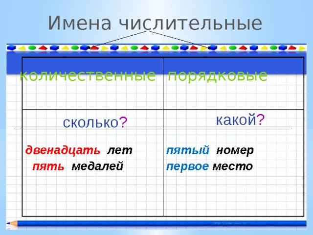 Имена числительные двенадцать лет  пять медалей пятый номер первое место порядковые количественные какой ? сколько ? 