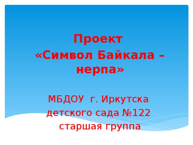 Проект «Символ Байкала – нерпа» МБДОУ г. Иркутска детского сада №122 старшая группа 