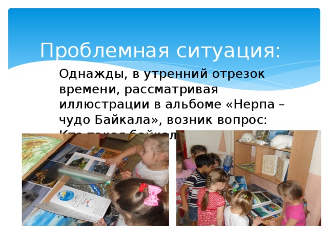 Проблемная ситуация: Однажды, в утренний отрезок времени, рассматривая иллюстрации в альбоме «Нерпа – чудо Байкала», возник вопрос: Кто такая байкальская нерпа? 