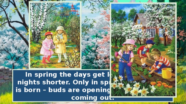 Spring In spring the days get longer and the nights shorter. Only in spring the new life is born – buds are opening and flowers are coming out. 