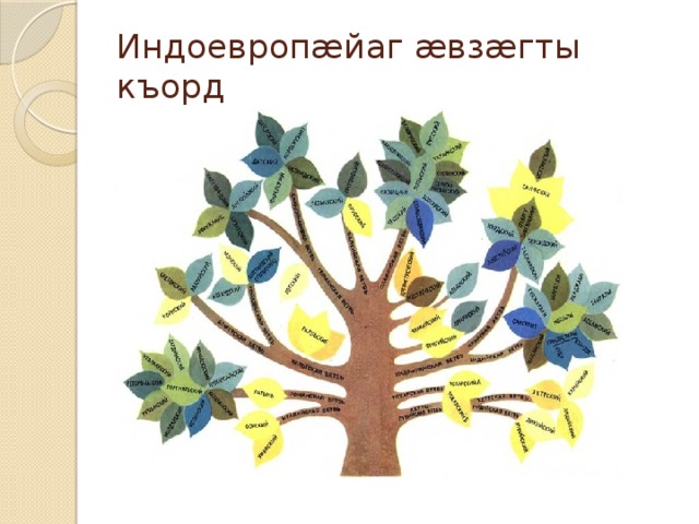 Индоевроп ӕйаг ӕвзӕгты къорд 