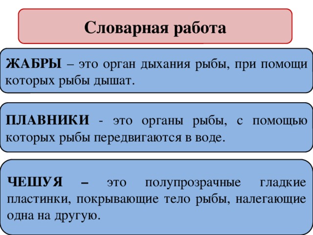 Словарная работа ЖАБРЫ – это орган дыхания рыбы, при помощи которых рыбы дышат. ПЛАВНИКИ - это органы рыбы, с помощью которых рыбы передвигаются в воде. ЧЕШУЯ – это  полупрозрачные гладкие пластинки, покрывающие тело рыбы, налегающие одна на другую. 