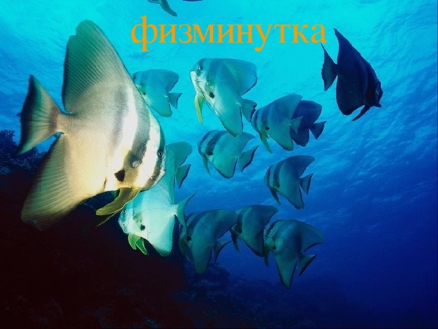 физминутка 