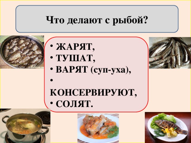 Что делают с рыбой?  ЖАРЯТ,  ТУШАТ,  ВАРЯТ (суп-уха),  КОНСЕРВИРУЮТ,  СОЛЯТ. 