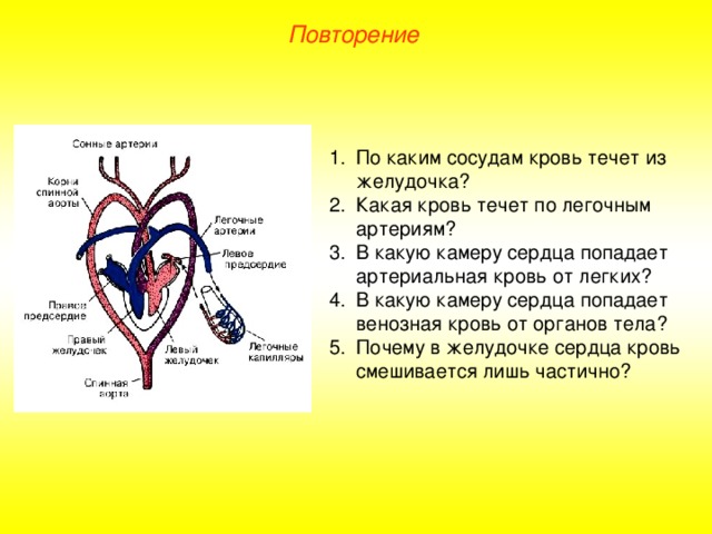 Повторение