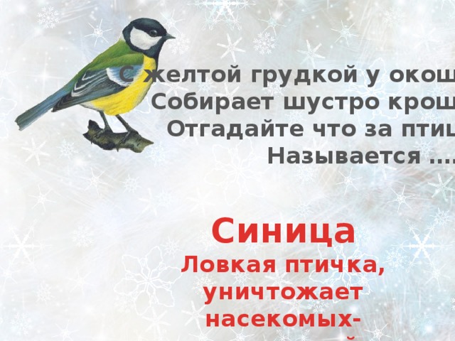 С желтой грудкой у окошка  Собирает шустро крошки  Отгадайте что за птица?  Называется …… . Синица Ловкая птичка, уничтожает насекомых-вредителей. 