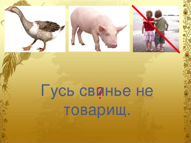 Гусь свинье не товарищ. ? 