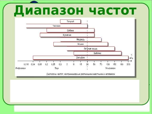 Диапазон частот 