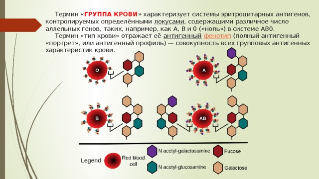 Проект на тему исследование групп крови и их влияние на характер человека