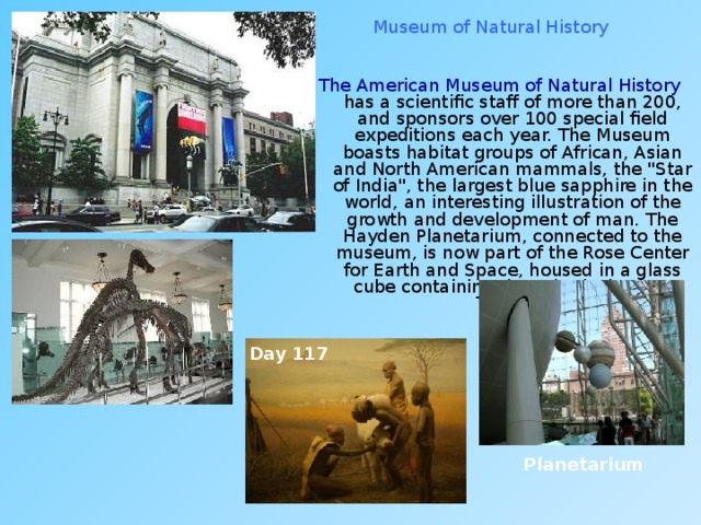 Museum of Natural History The American Museum of Natural History  has a scientific staff of more than 200, and sponsors over 100 special field expeditions each year. The Museum boasts habitat groups of African, Asian and North American mammals, the 