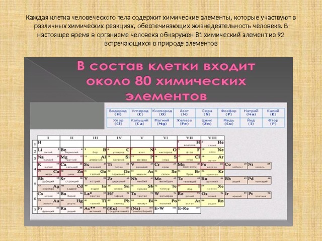 Каждая клетка человеческого тела содержит химические элементы, которые участвуют в различных химических реакциях, обеспечивающих жизнедеятельность человека. В настоящее время в организме человека обнаружен 81 химический элемент из 92 встречающихся в природе элементов 