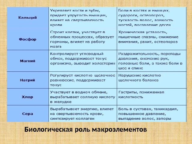   Биологическая роль макроэлементов 