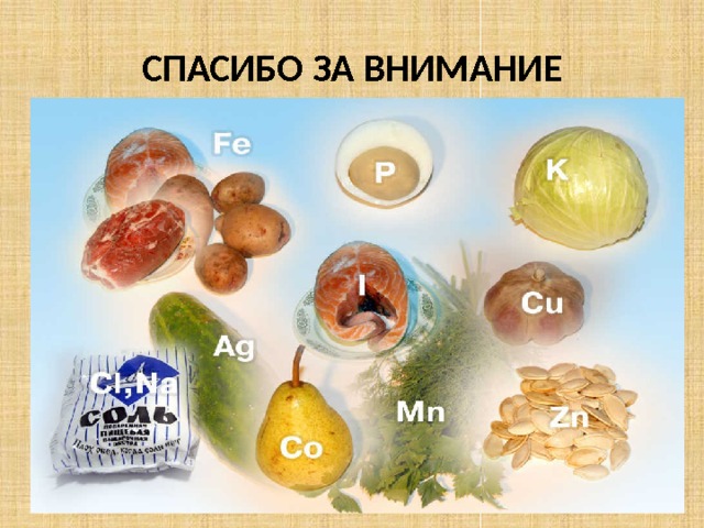 СПАСИБО ЗА ВНИМАНИЕ 