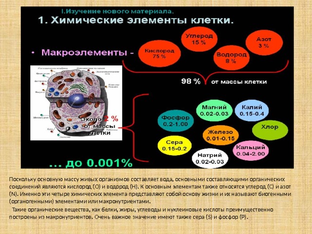 Поскольку основную массу живых организмов составляет вода, основными составляющими органических соединений являются кислород (О) и водород (Н). К основным элементам также относятся углерод (С) и азот (N). Именно эти четыре химических элемента представляют собой основу жизни и их называют биогенными (органогенными) элементами или макронутриентами.  Такие органические вещества, как белки, жиры, углеводы и нуклеиновые кислоты преимущественно построены из макронутриентов. Очень важное значение имеют также сера (S) и фосфор (P). 