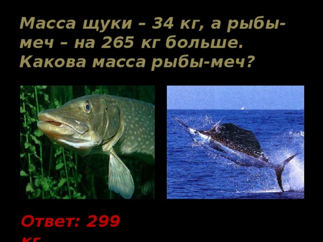 Масса щуки – 34 кг, а рыбы-меч – на 265 кг больше. Какова масса рыбы-меч? Ответ: 299 кг. 