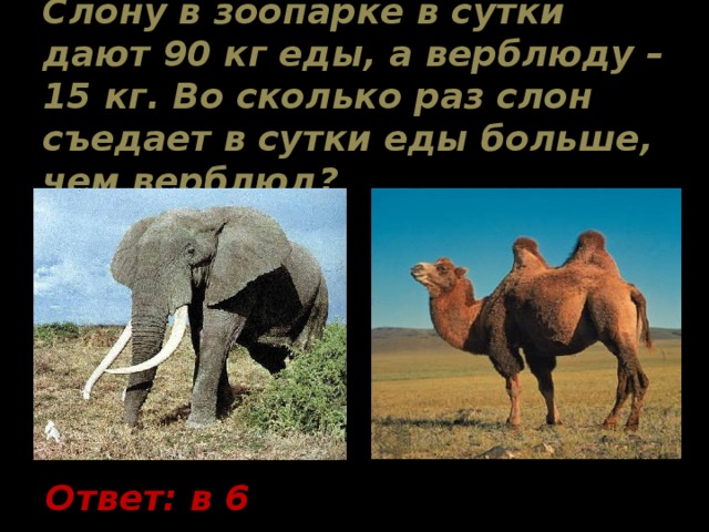 Слону в зоопарке в сутки дают 90 кг еды, а верблюду – 15 кг. Во сколько раз слон съедает в сутки еды больше, чем верблюд? Ответ: в 6 раз. 