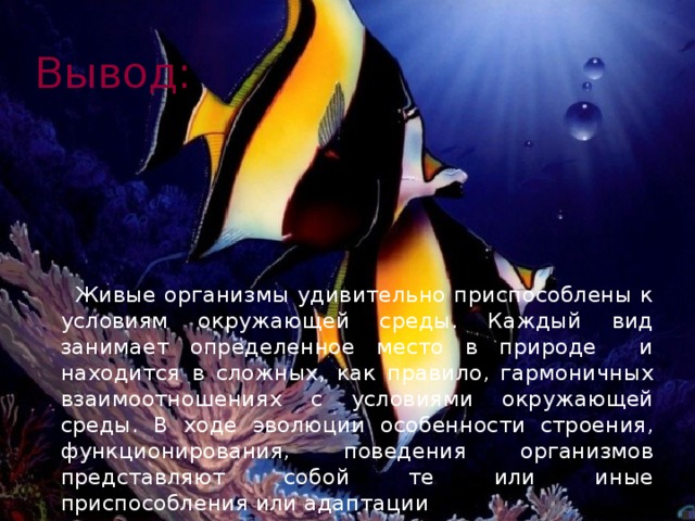 Вывод:  Живые организмы удивительно приспособлены к условиям окружающей среды. Каждый вид занимает определенное место в природе и находится в сложных, как правило, гармоничных взаимоотношениях с условиями окружающей среды. В ходе эволюции особенности строения, функционирования, поведения организмов представляют собой те или иные приспособления или адаптации 