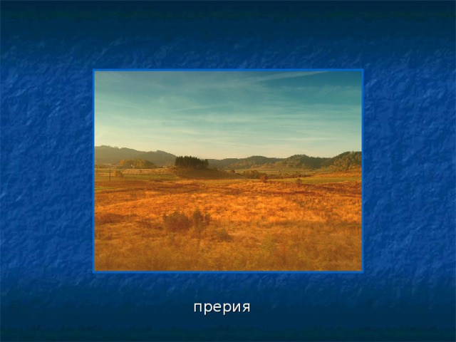 прерия