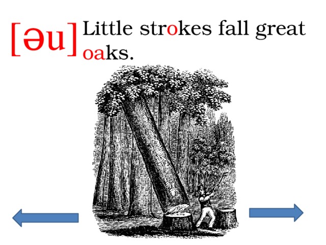[əu] Little str o kes fall great oa ks. 