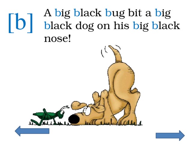 [b] A b ig b lack b ug bit a b ig b lack dog on his b ig b lack nose! 