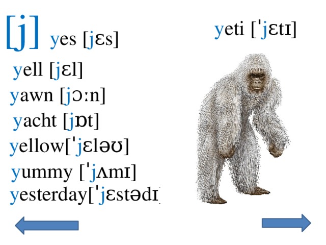 [j]  y eti [ˈ j ɛtɪ] y es [ j ɛs] y ell [ j ɛl] y awn [ j ɔːn] y acht [ j ɒt] y ellow[ˈ j ɛləʊ] y ummy [ˈ j ʌmɪ]  y esterday[ˈ j ɛstədɪ] 