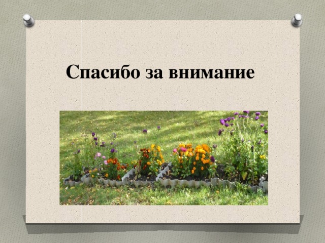  Спасибо за внимание 