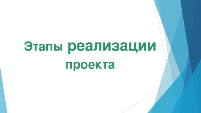 Этапы реализации проекта 