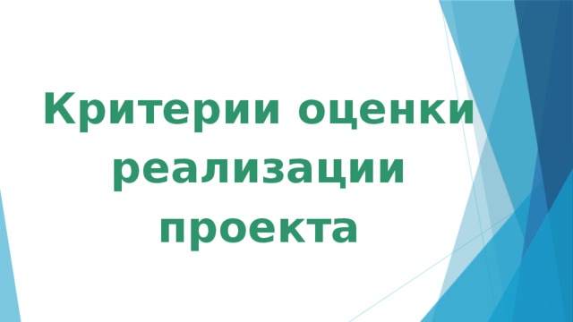 Критерии оценки реализации проекта 