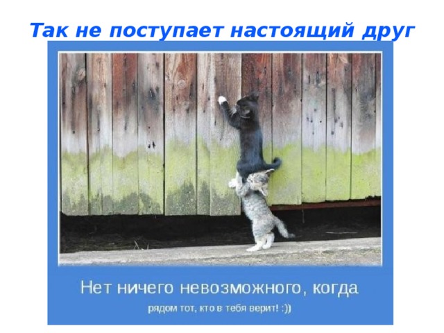 Так не поступает настоящий друг