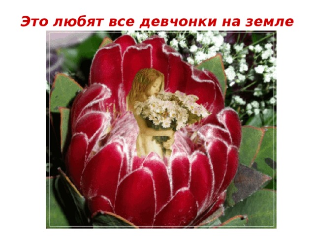 Это любят все девчонки на земле