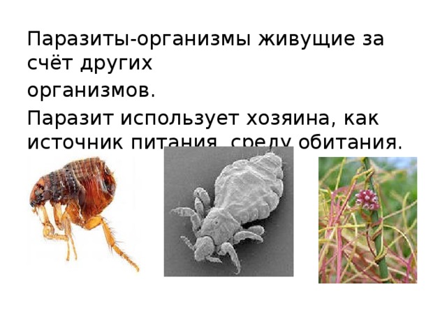 Паразиты-организмы живущие за счёт других организмов. Паразит использует хозяина, как источник питания, среду обитания. 