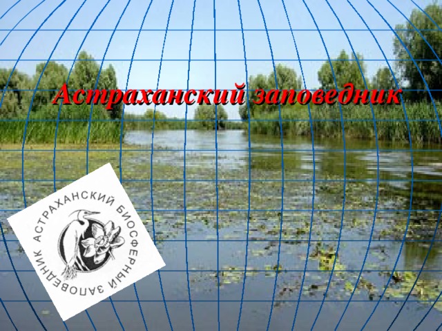 Астраханский заповедник 