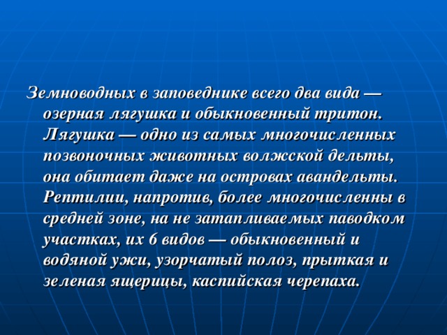 Земноводных в заповеднике всего два вида — озерная лягушка и обыкновенный тритон. Лягушка — одно из самых многочисленных позвоночных животных волжской дельты, она обитает даже на островах авандельты. Рептилии, напротив, более многочисленны в средней зоне, на не затапливаемых паводком участках, их 6 видов — обыкновенный и водяной ужи, узорчатый полоз, прыткая и зеленая ящерицы, каспийская черепаха. 