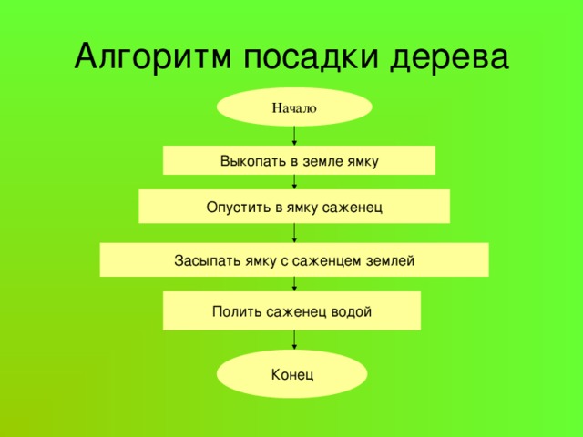 Алгоритм пол. Блок схема алгоритма посадки дерева. Алгоритм посадки саженца блок схема. Блок схема как посадить дерево. Блок-схема посадки саженцев.