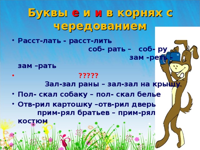 Буквы е и и в корнях с чередованием Расст-лать - расст-лить соб- рать – соб- ру зам -реть - зам –рать  ????? Зал-зал раны – зал-зал на крышу Пол- скал собаку – пол- скал белье Отв-рил картошку –отв-рил дверь прим-рял братьев – прим-рял костюм 