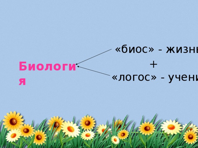 «биос» - жизнь + Биология «логос» - учение 