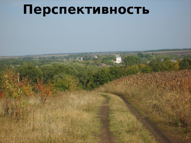 Перспективность              ЭкоStep 