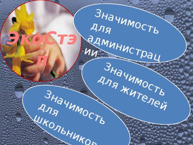              Значимость для администрации Значимость для жителей Значимость для школьников ЭкоСтэп    