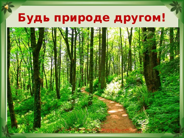 Будь природе другом!