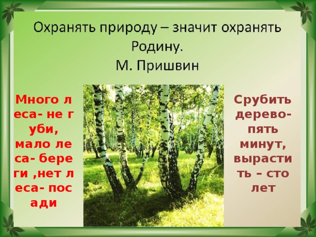 Много леса- не губи, мало леса- береги ,нет леса- посади Срубить дерево-пять минут, вырастить – сто лет