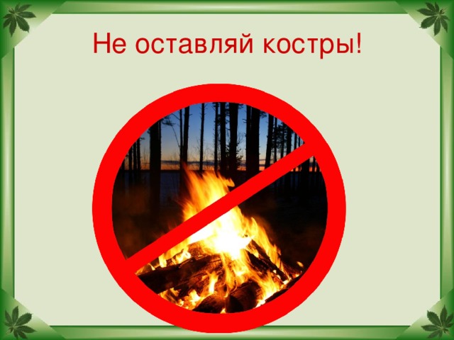 Не оставляй костры!