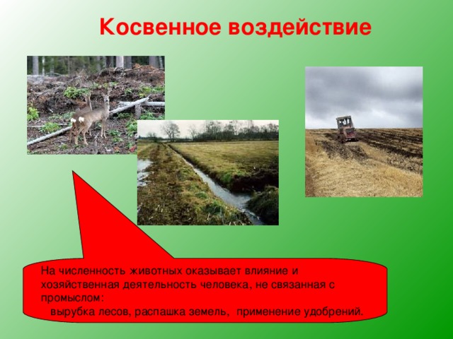 На численность животных оказывает влияние и хозяйственная деятельность человека, не связанная с промыслом:  вырубка лесов, распашка земель, применение удобрений. Косвенное воздействие 