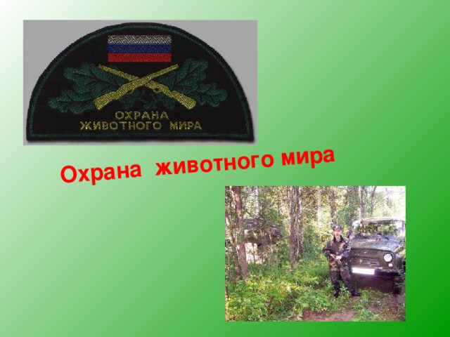 Охрана животного мира 
