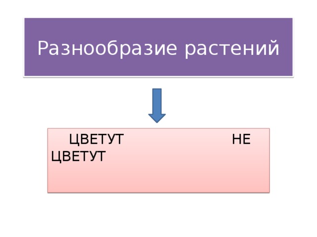 Разнообразие растений  ЦВЕТУТ НЕ ЦВЕТУТ 